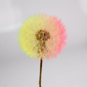 Multicolored Dandelion Puff for Resin Art