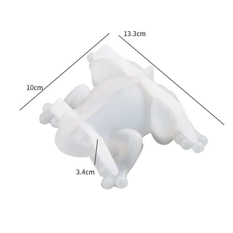 3D Frog Silicone Resin Mold