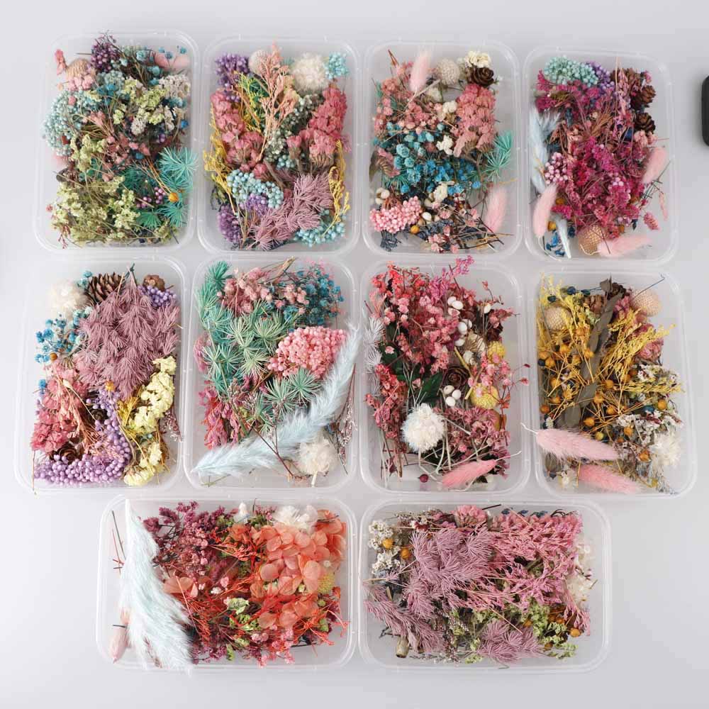 1 Box Real Dried Flowers For Resin Art, Jewelry, glitter – Phoenix