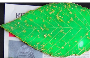 Large Leaf Tray Silicone Resin Mold
